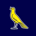 canarinisicresce profile picture