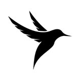 canaryclothing.com.pk profile picture