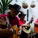 cancion_de_eldia profile picture