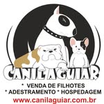 canil_aguiar profile picture