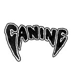 caninemgmt profile picture