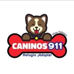 caninos_911 profile picture