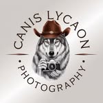 canislycaonphotography profile picture