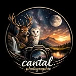 cantal.photographie profile picture