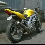capelle71 profile picture