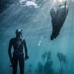 capetownfreediving profile picture