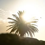 capetown_ventures profile picture