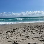 capriccio26 profile picture