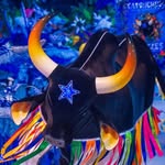 caprichoso.vu profile picture