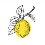 caprimoderna profile picture
