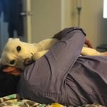 capsy89 profile picture