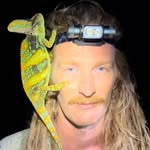 captainmerrick profile picture