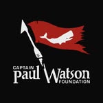 captainpaulwatson profile picture