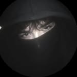 captirallin profile picture