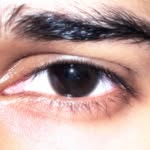 captured_by_h4mxa profile picture