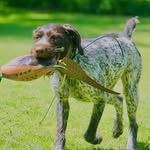 capturedmoments_byparker profile picture