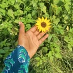 capturewith_anshu profile picture