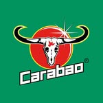 carabao_uk profile picture