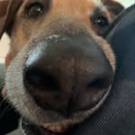 caratripsalot profile picture