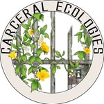 carceralecologies profile picture