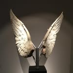 cardell.arteyciencia profile picture