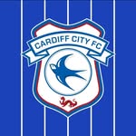 cardiffcityfc profile picture