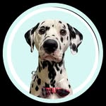 caricaturame.ig profile picture