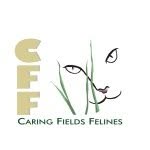 caringfieldsfelines profile picture