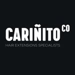 carinito.co profile picture