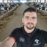 carlosaugustomarini profile picture