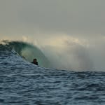 carlosberdegue profile picture