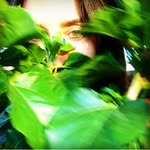 carlottabitossi profile picture