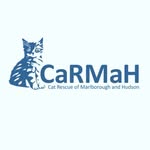 carmah._adoptions profile picture