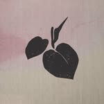 carmelrestaurantldn profile picture