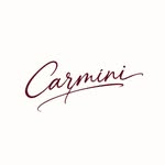 carmini.co profile picture
