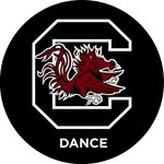 carolinadanceteam profile picture