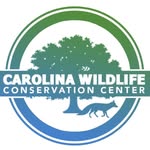 carolinawildlife profile picture