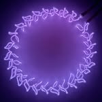 carolinelacava profile picture