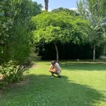 carolineleff profile picture