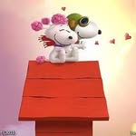 caroljames4507 profile picture