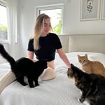 caroskittycats profile picture