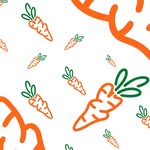 carrotsbyanwarcarrots profile picture