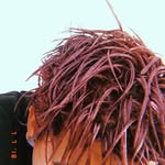 carrttiier profile picture