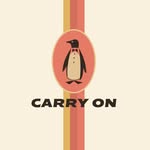 carryonairlines profile picture