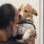 carscoppettuolo profile picture