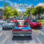 carsofberriensprings profile picture