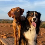 carson_and_willie profile picture