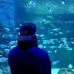 carsonsaquatics profile picture
