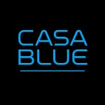 casa.b1ue profile picture