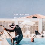 casabosqueschocolate profile picture